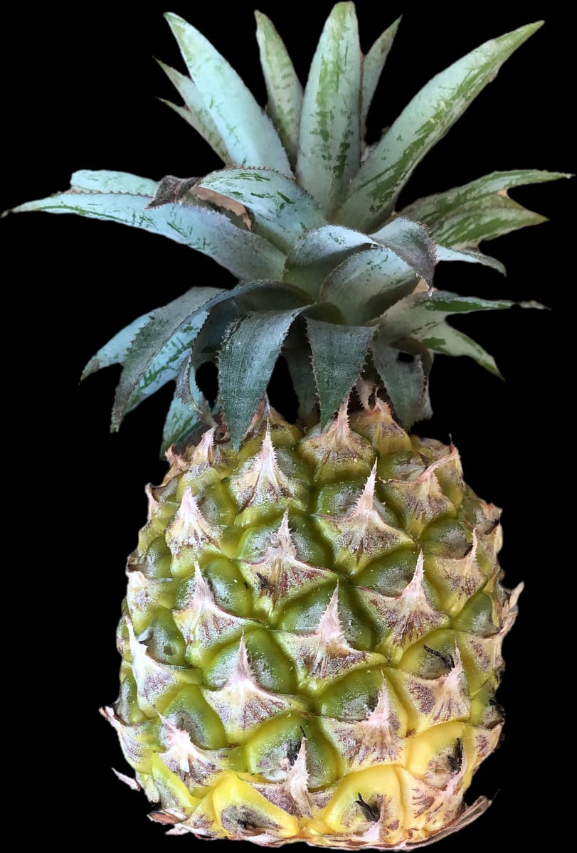 Pineapple-Single_0