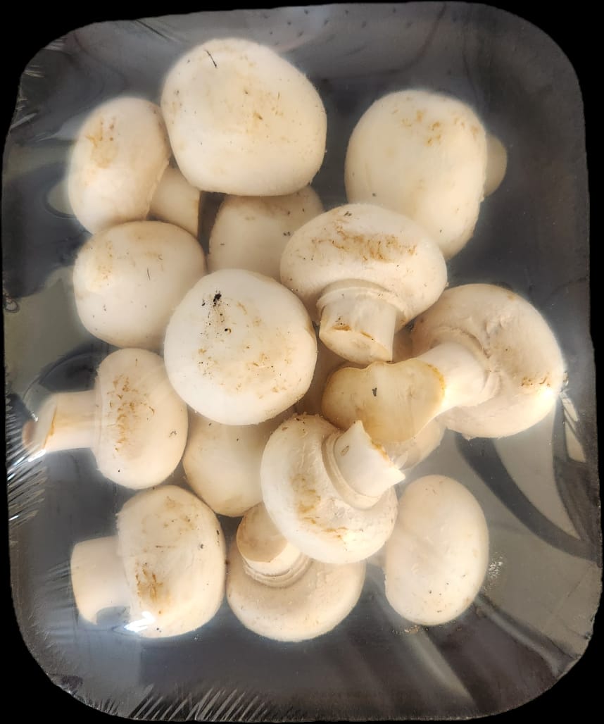 Mushrooms-Pack