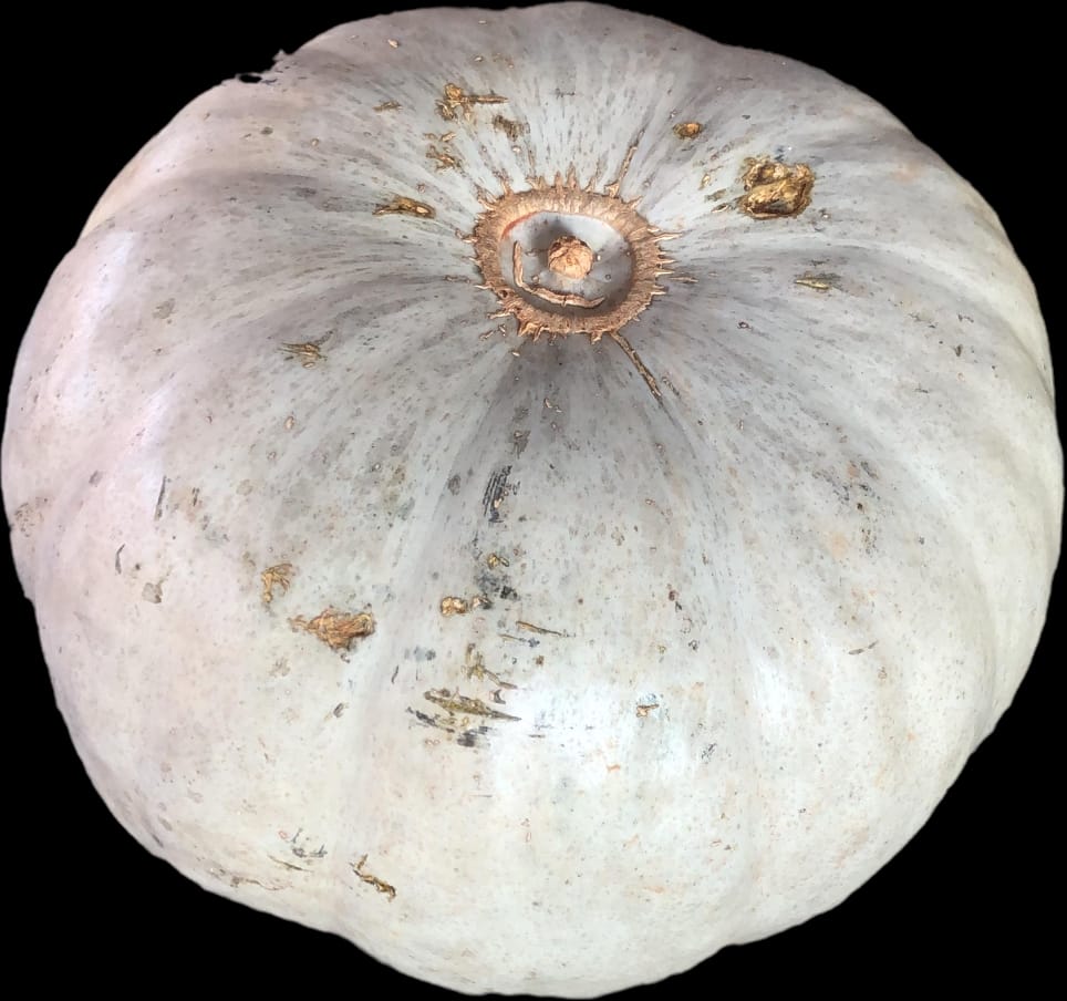Pumpkin-Full_0