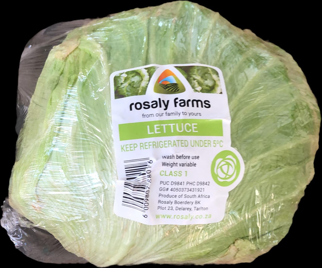 Lettuce-Iceberg_0