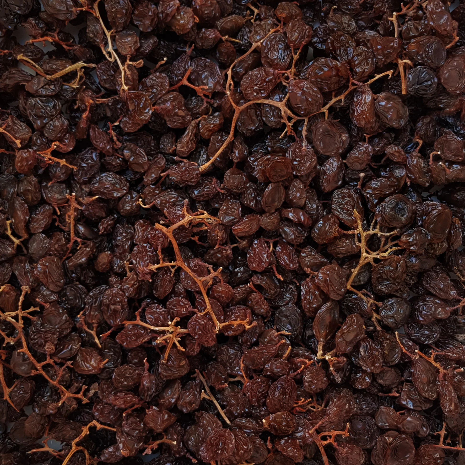 Stalk Raisins_0