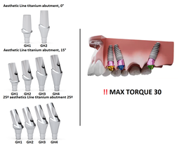 ICX Premium Bone Level IMPLANT Ø4.8