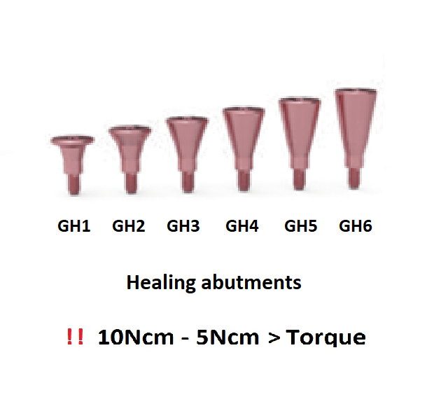 ICX Premium Bone Level IMPLANT Ø3.3_6