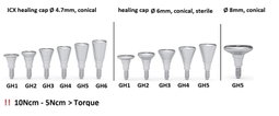 ICX Premium Bone Level IMPLANT Ø4.8