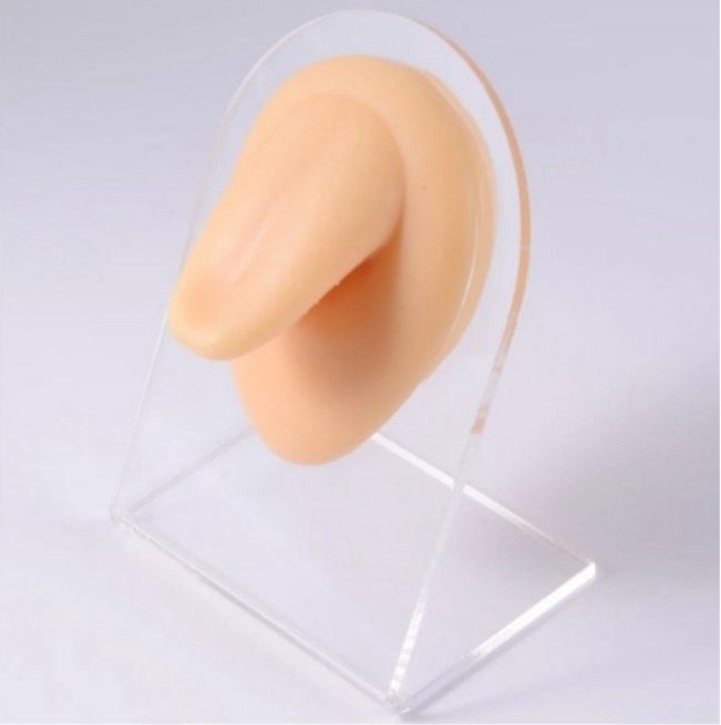 Tongue silicone display_0