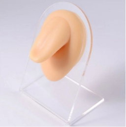 Tongue silicone display