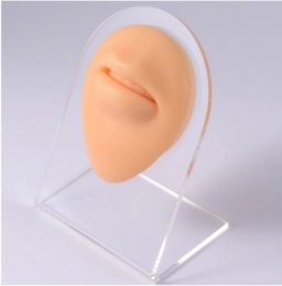 Lip silicone display