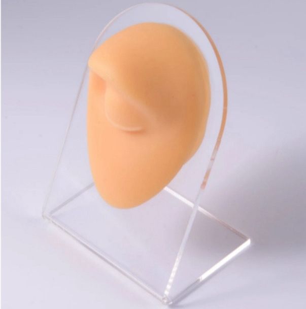 Eyebrow silicone display