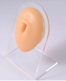 Belly silicone display