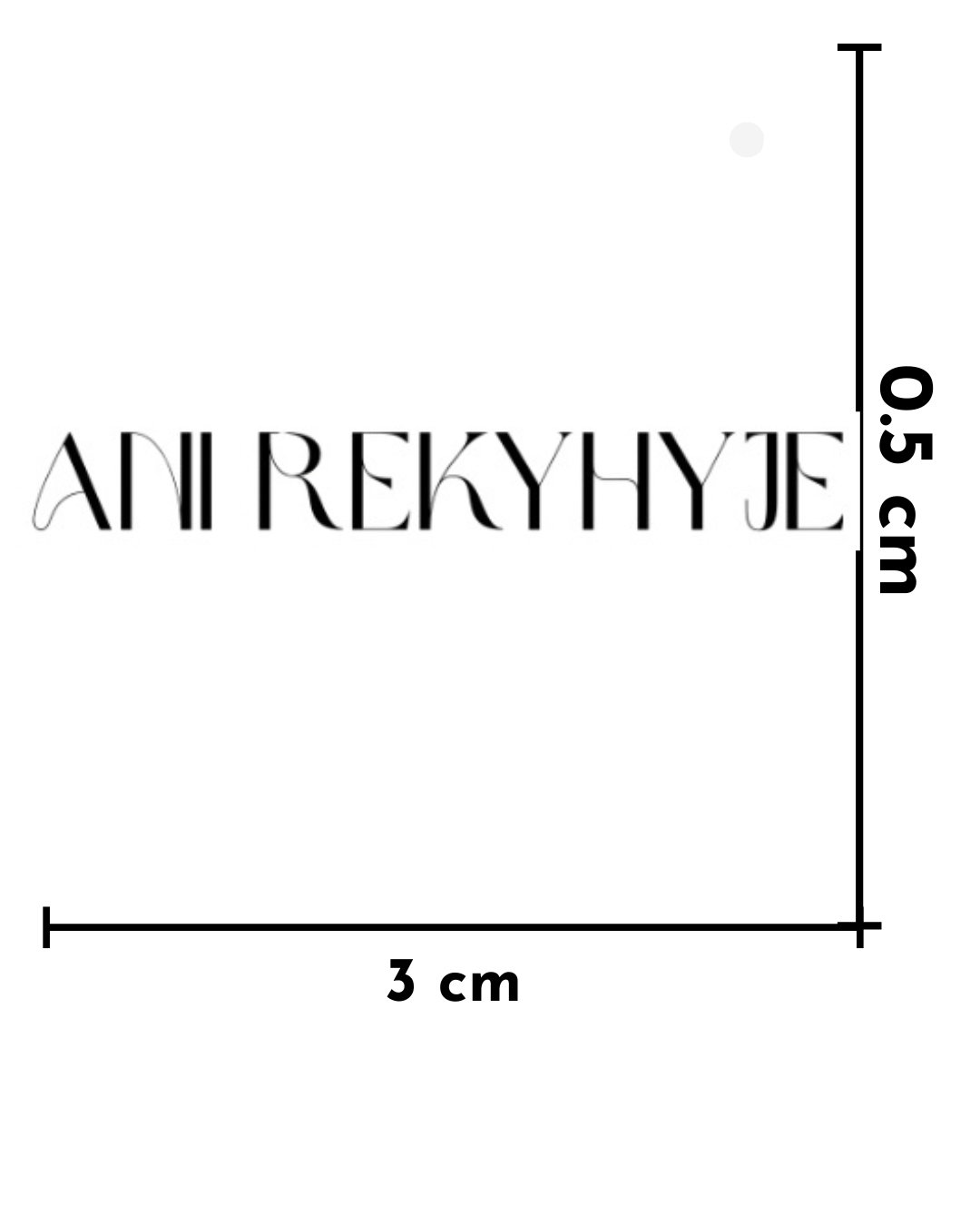 ANI REKYHYJE
