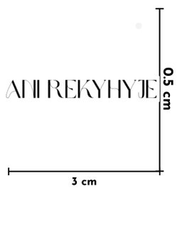 ANI REKYHYJE