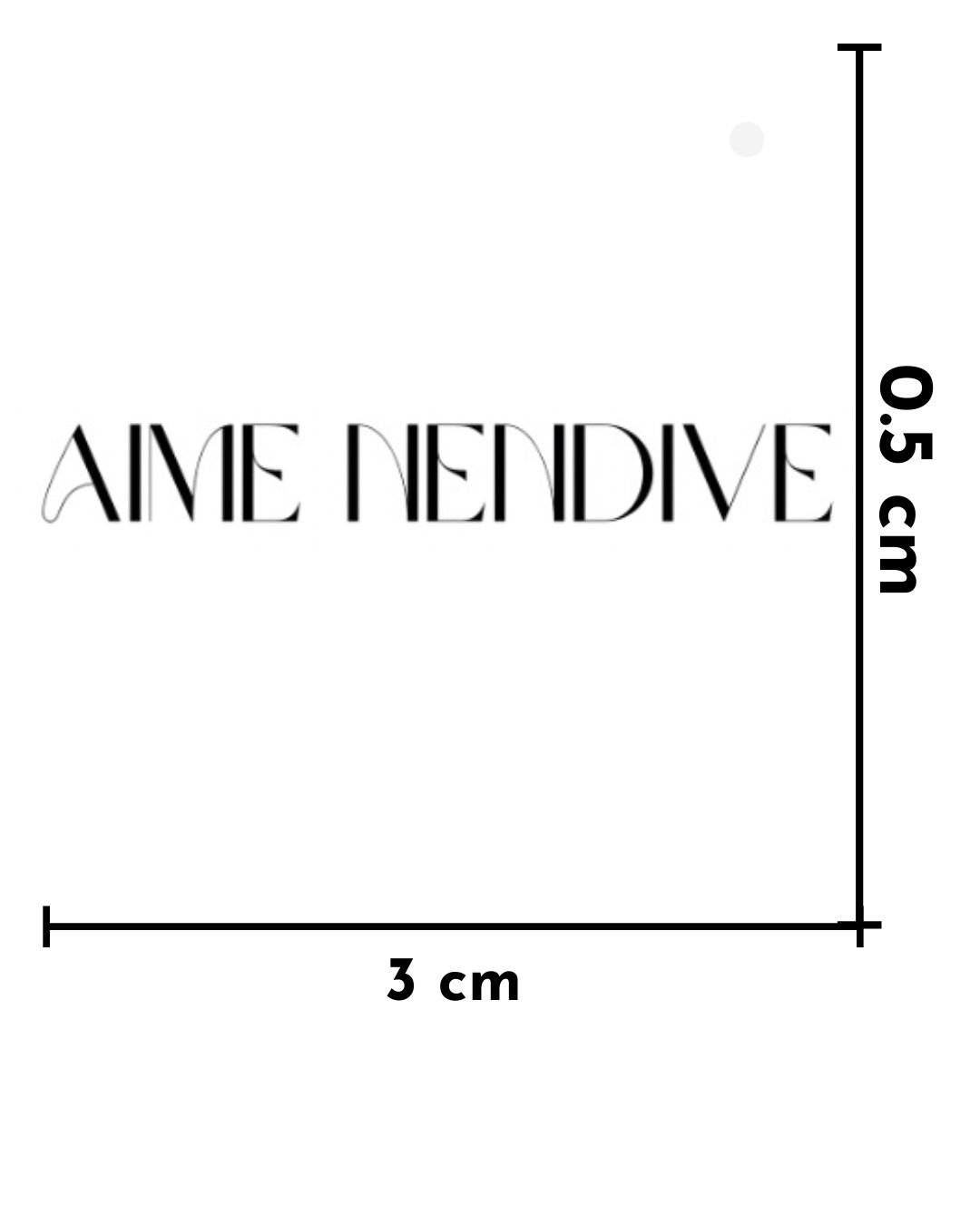 AIME NENDIVE