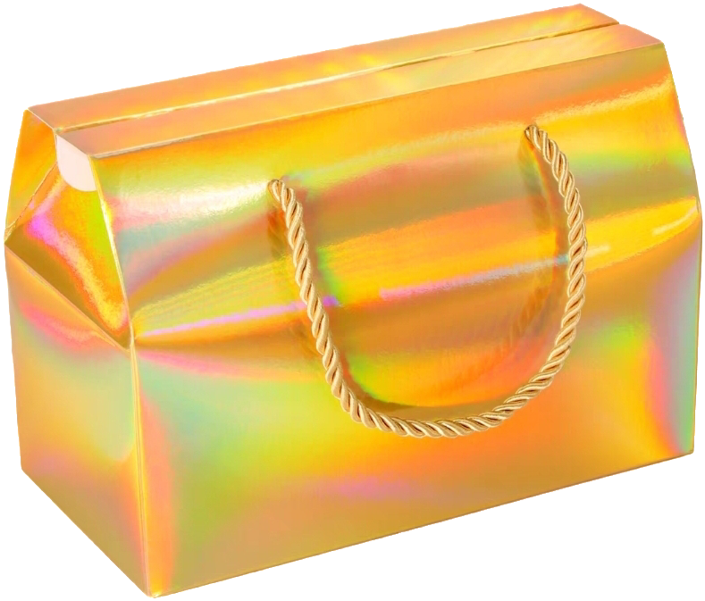 Goodie Bag Gift Boxes_13