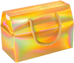 Goodie Bag Gift Boxes