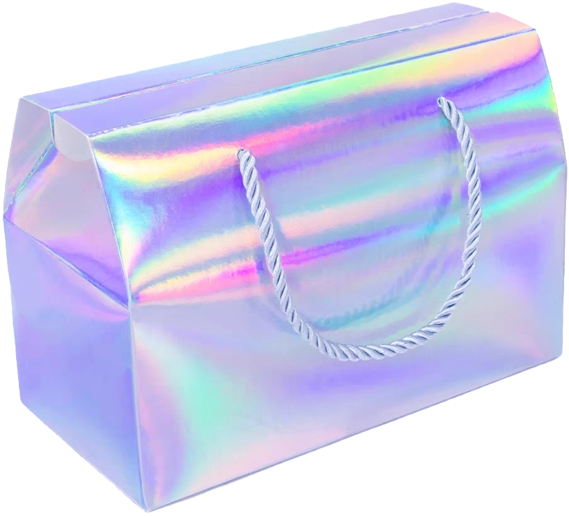 Goodie Bag Gift Boxes_14