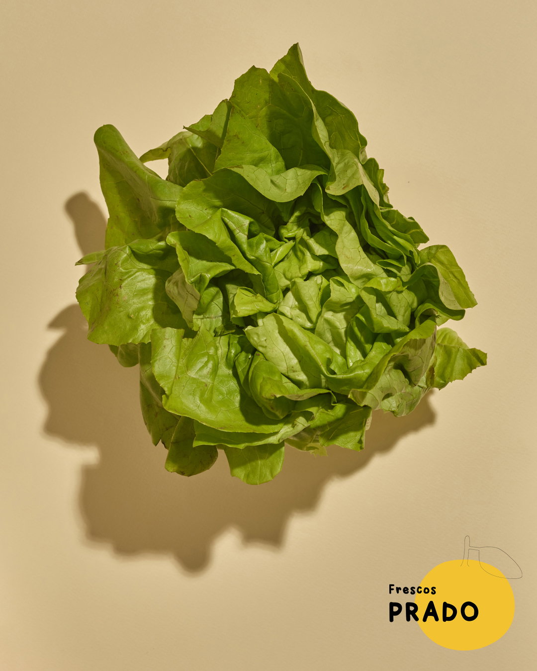 Lechuga Mantecosa
