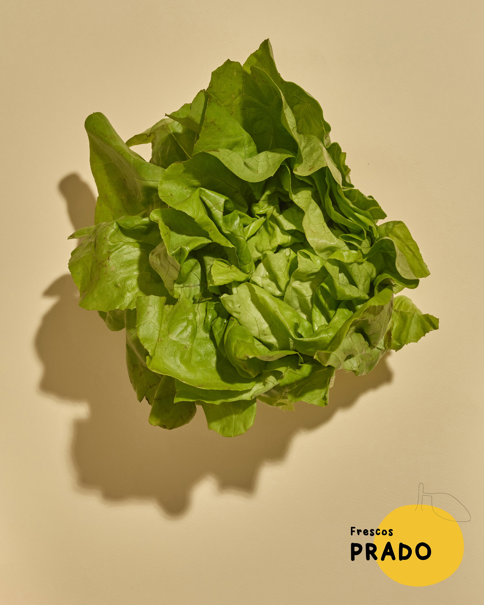Lechuga Mantecosa_0