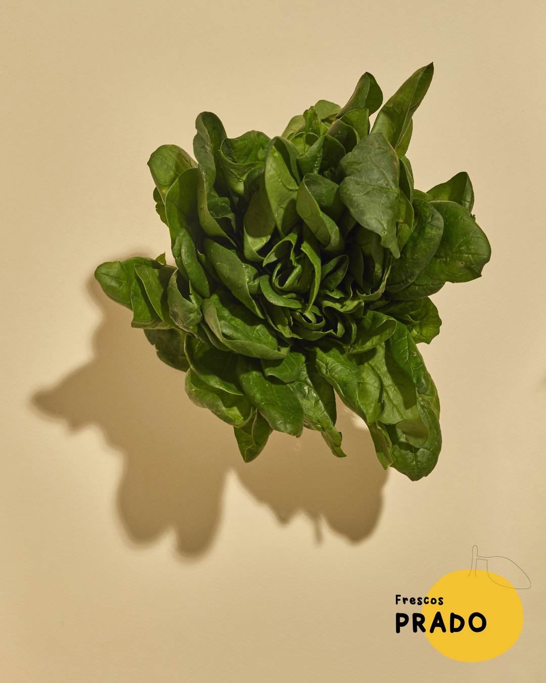 Espinaca