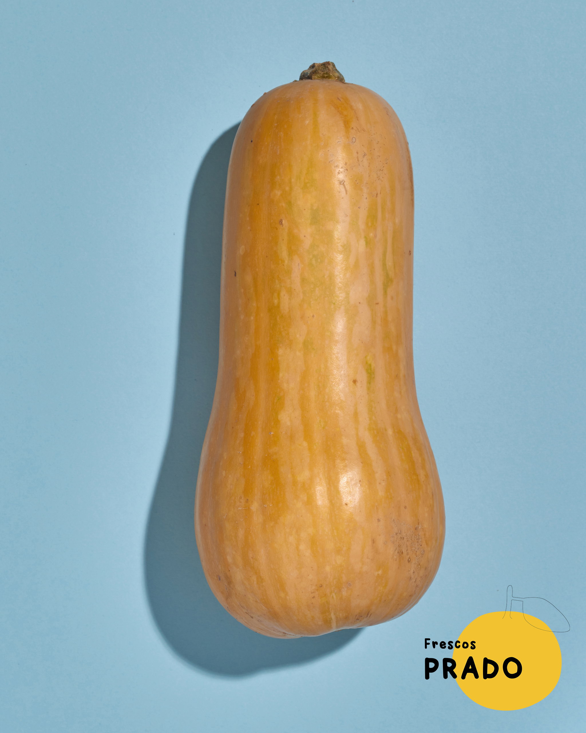 Anco_0