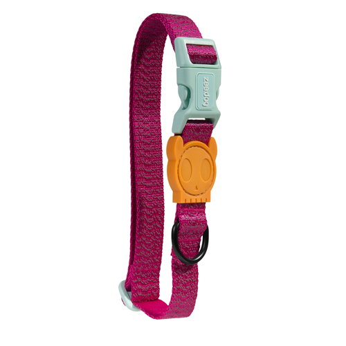 ZeeDog Nox Sidus Collar