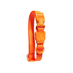 ZeeDog Neopro Tangerine Collar