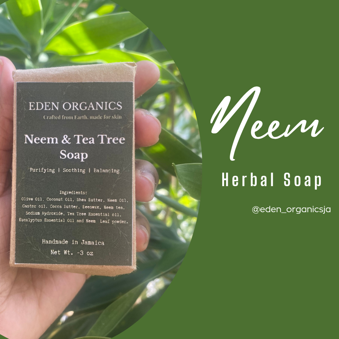 "Herbal Cleanse": Neem soap_0