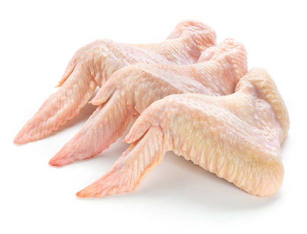 Wings_0