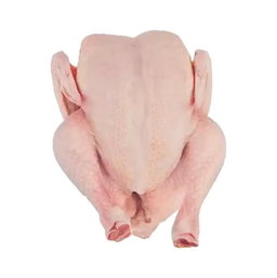 Wholesale Chicken