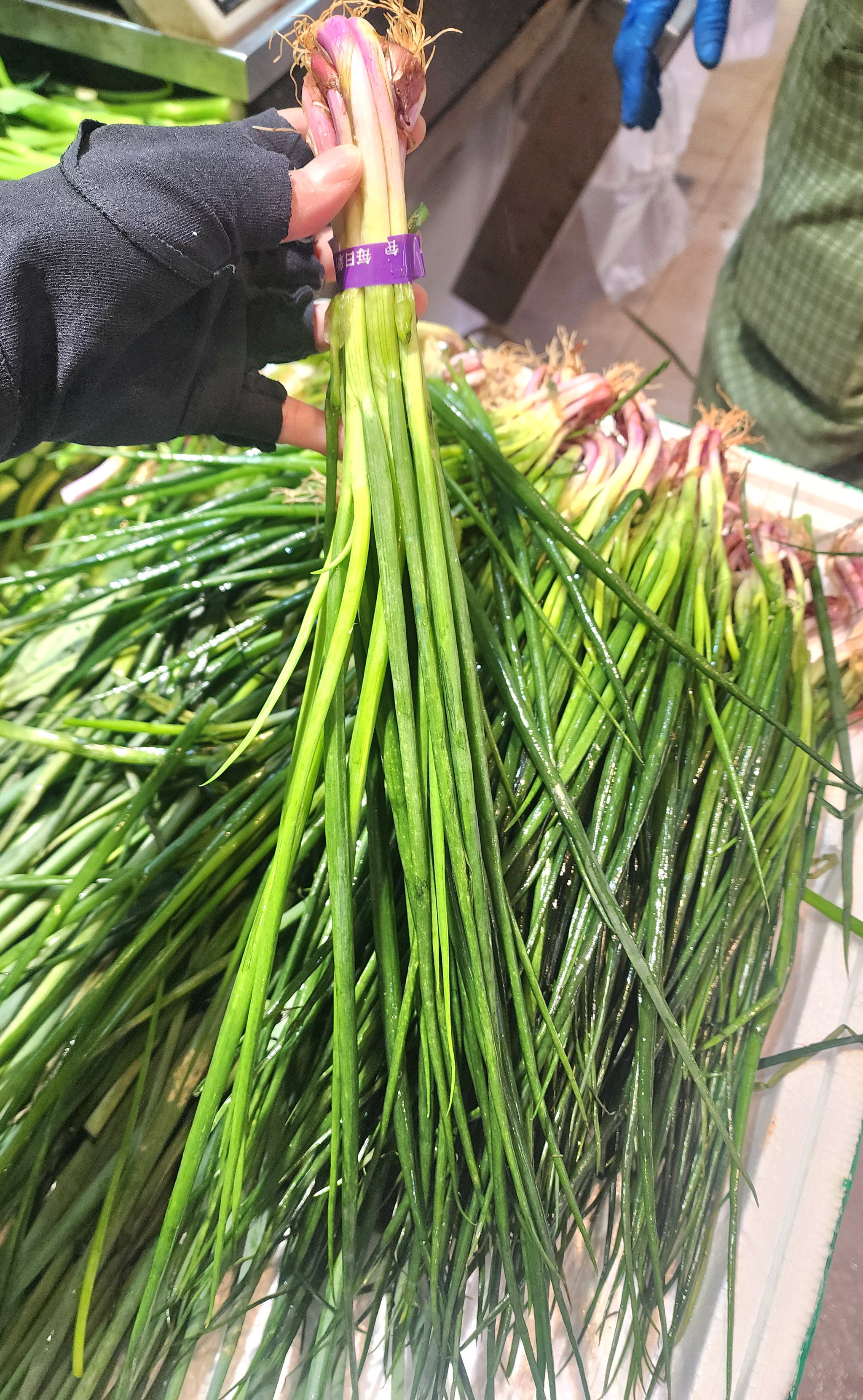 青蔥🥦（札）_0