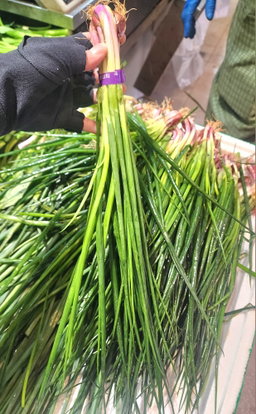 青蔥🥦（札）