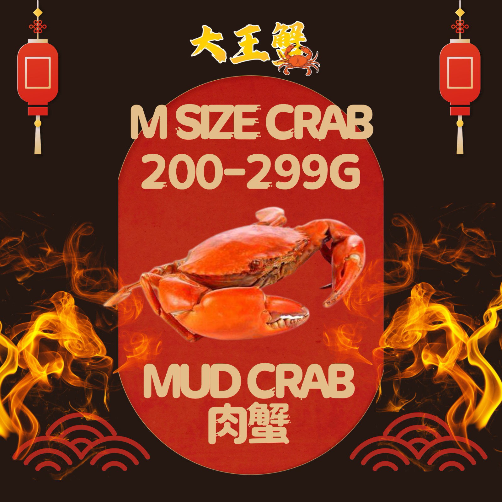 M SIZE 肉蟹 x 5只PCS (200-299G) _0