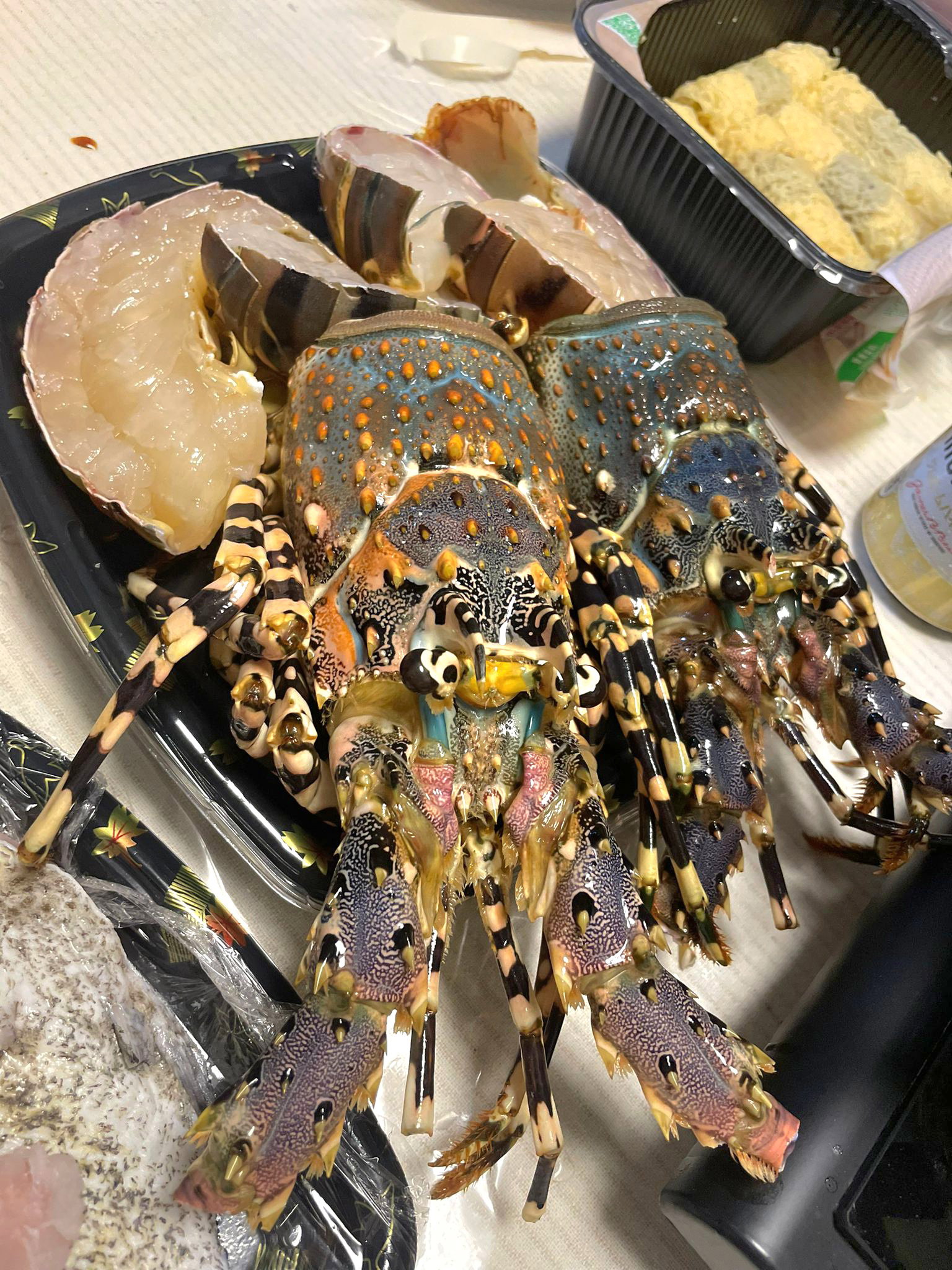 本地花龍蝦🦞（隻）（約14兩 - 1斤）_2