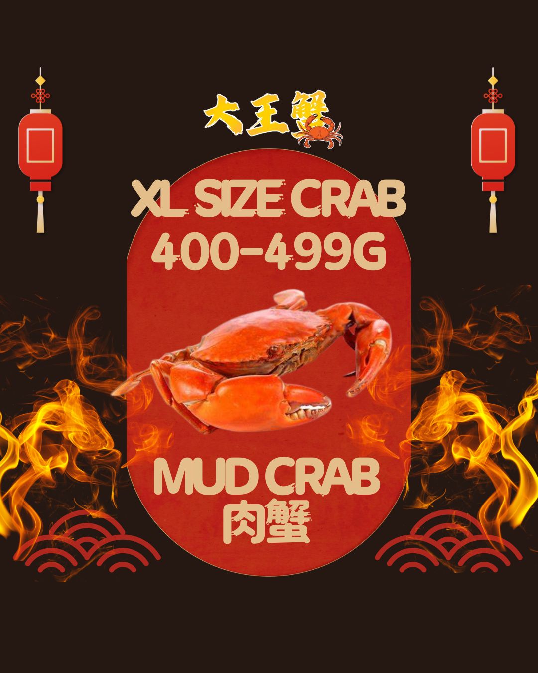 XL SIZE 肉蟹 (400-499G)