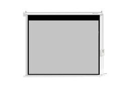 LW EPS - 240E ELECTRIC PROJECTOR SCREEN 240 X 240 CMS 