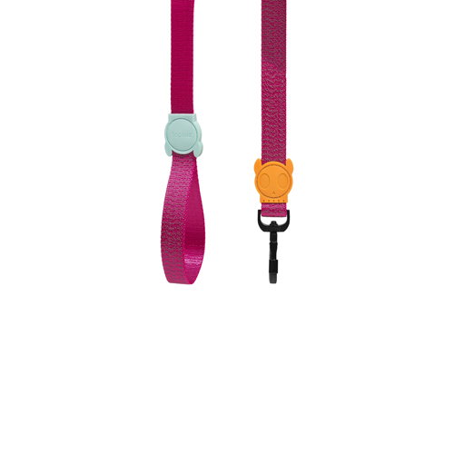 ZeeDog Nox Sidus Leash_0