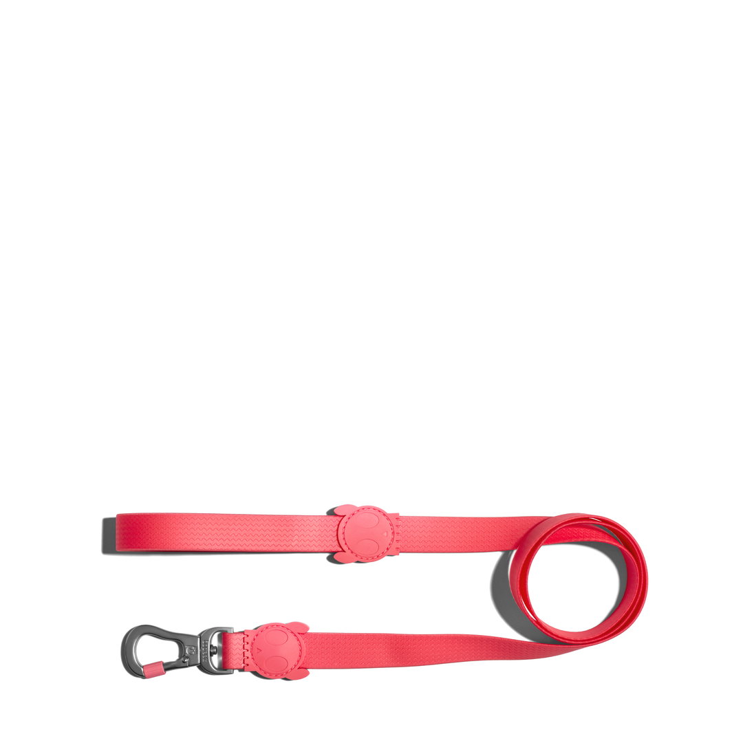 ZeeDog Neopro Bubblegum Leash