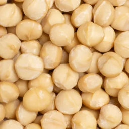 Macadamia Raw