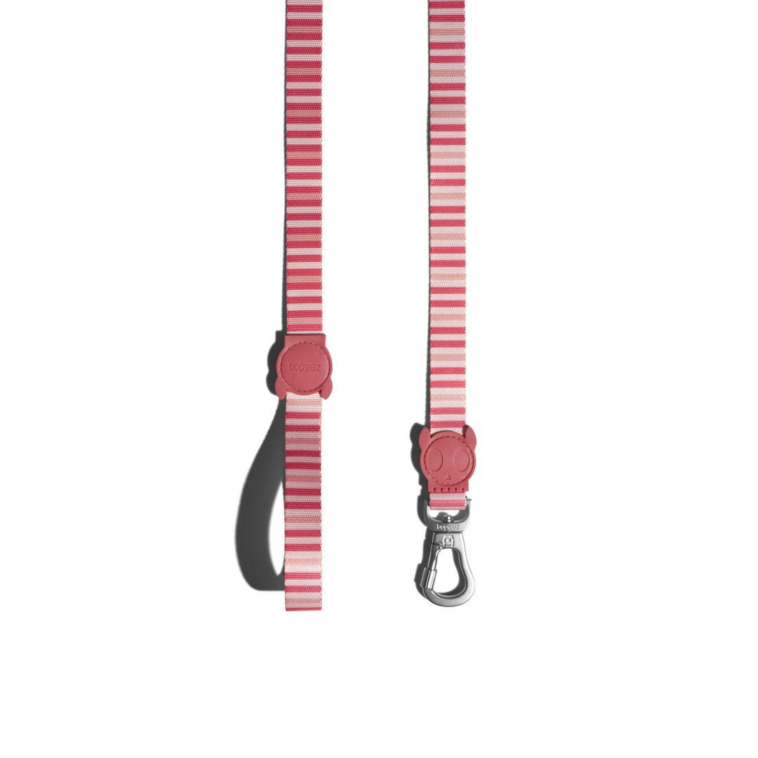 ZeeDog Peppermint Leash