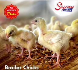 Supreme broilers