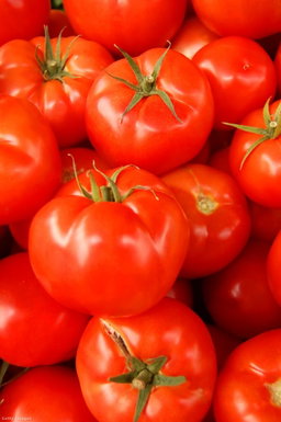Légumes 