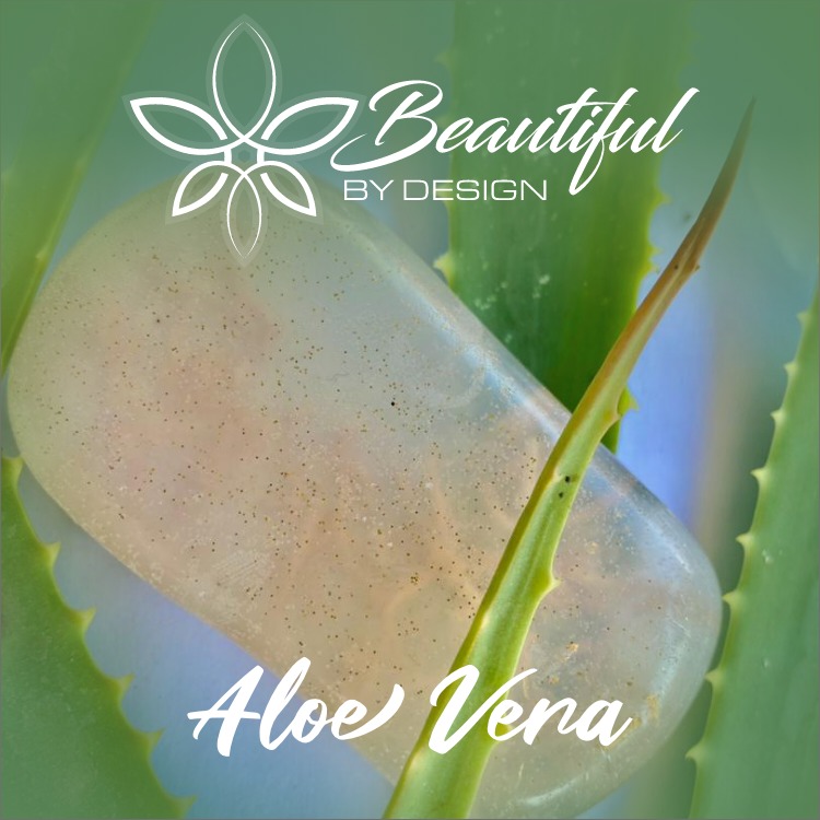 Aloe vera _0