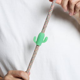 ZeeDog Cactus Pinz