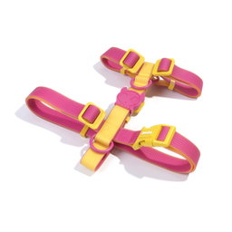 ZeeDog Neopro Lyra H Harness