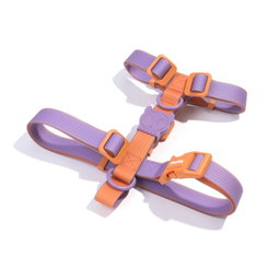 ZeeDog Neopro Iris H Harness