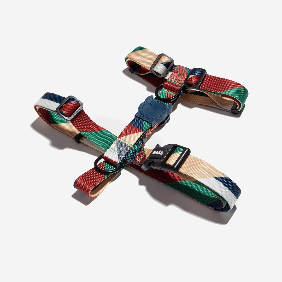 ZeeDog Pacco H Harness