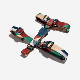 ZeeDog Pacco H Harness