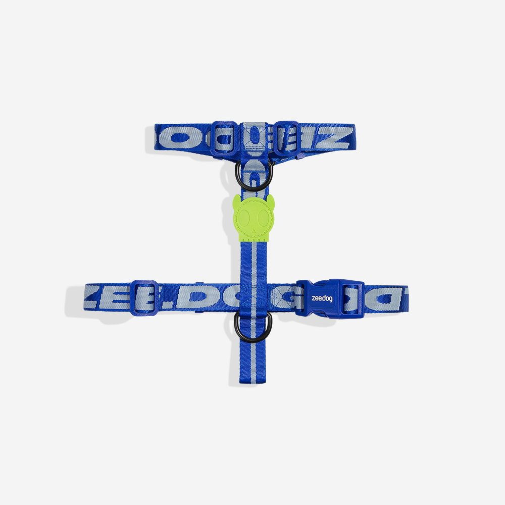 ZeeDog Astro H Harness