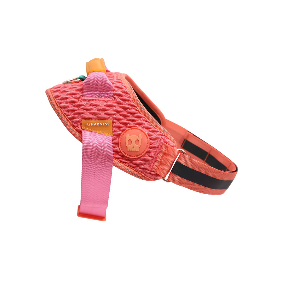 ZeeDog Gazelle Fly Harness