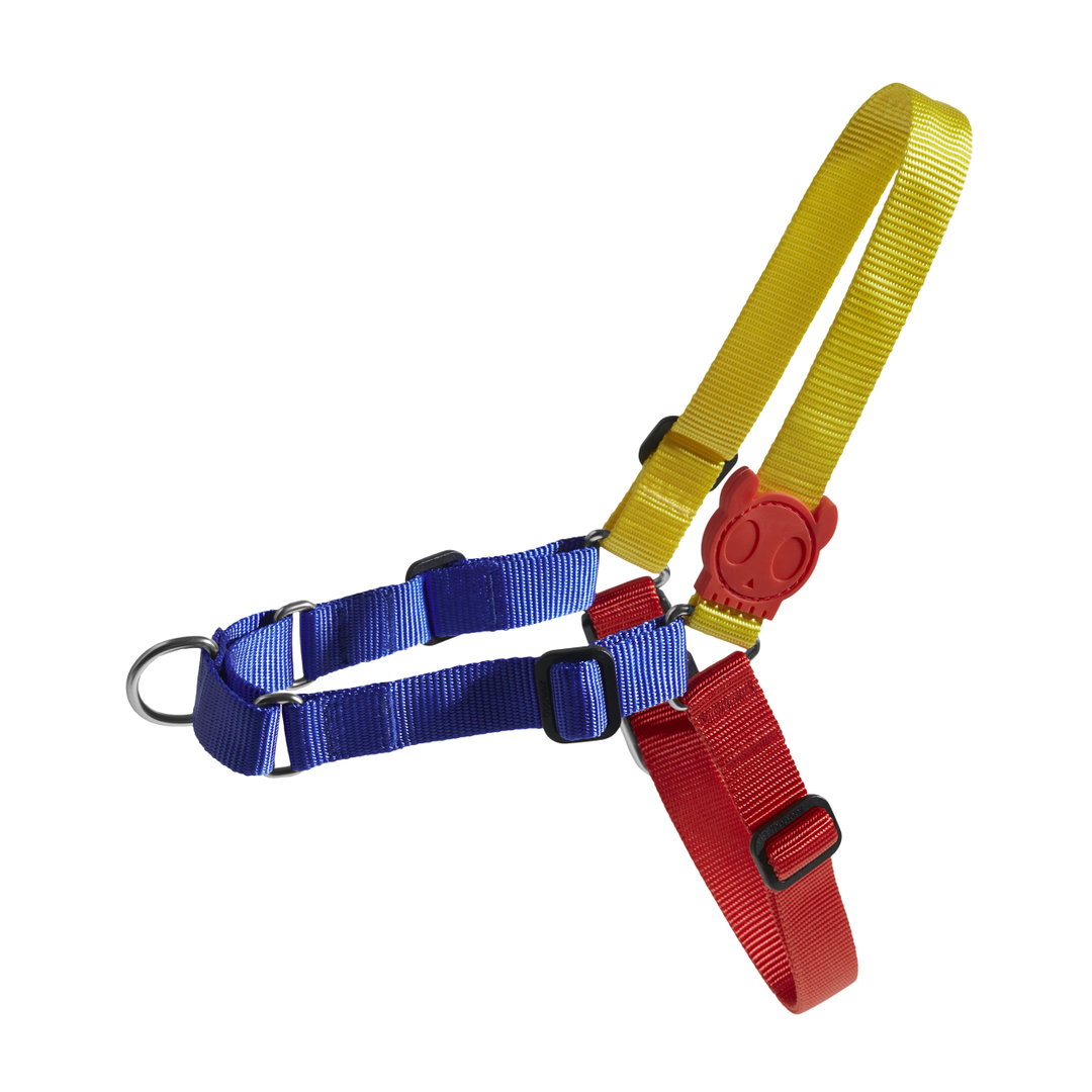 ZeeDog Puzzle Softwalk Harness