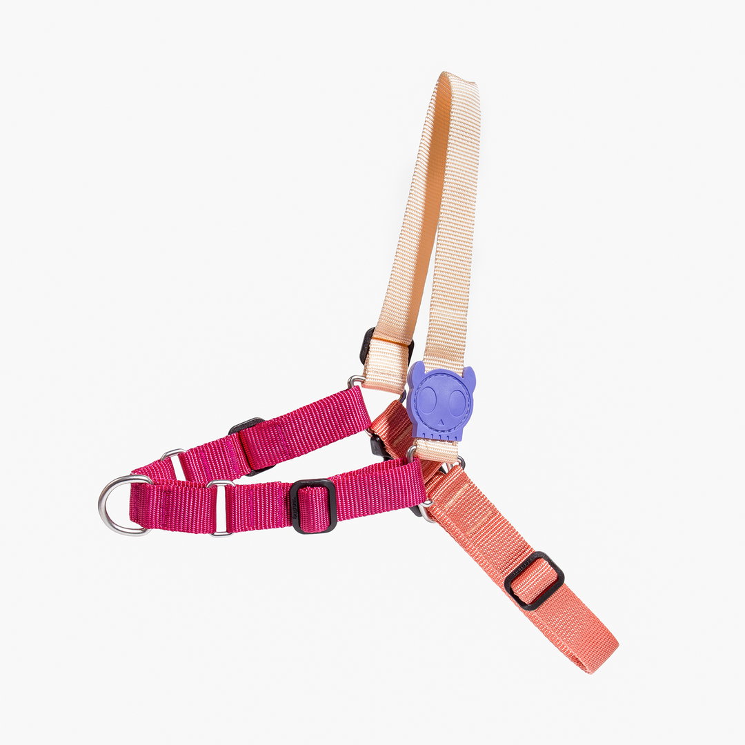 ZeeDog Cinnamon Softwalk Harness
